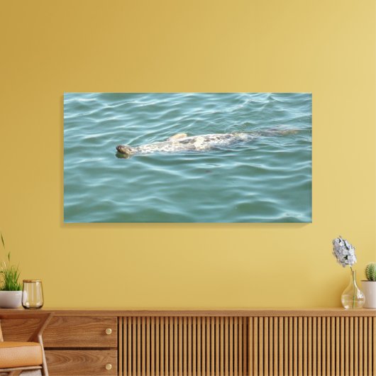 Een zegel drijvend zonneschijn canvas afdruk (Insitu (Woonkamer))