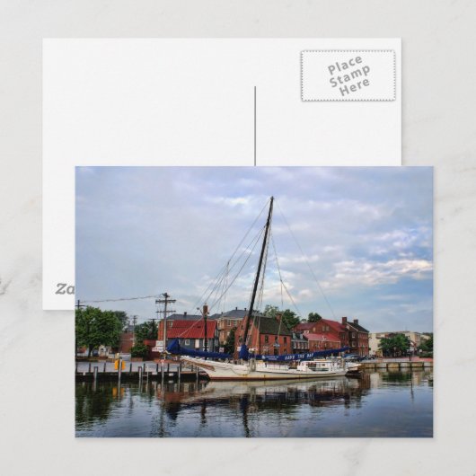 Een zeilboot in Annapolis Harbour Briefkaart (Voorkant / Achterkant)