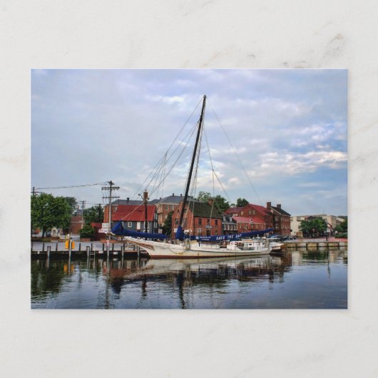 Een zeilboot in Annapolis Harbour Briefkaart (Voorkant)