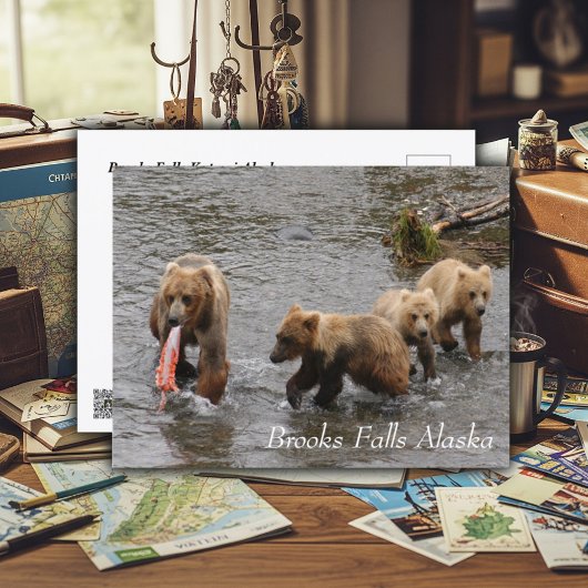 Een zeldzaam feest bij Brooks Falls Briefkaart