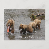 Een zeldzaam feest bij Brooks Falls Briefkaart (Voorkant)