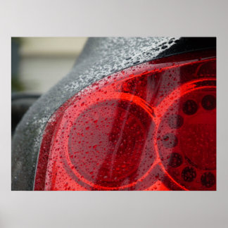 Een zeldzame Uitzicht Poster