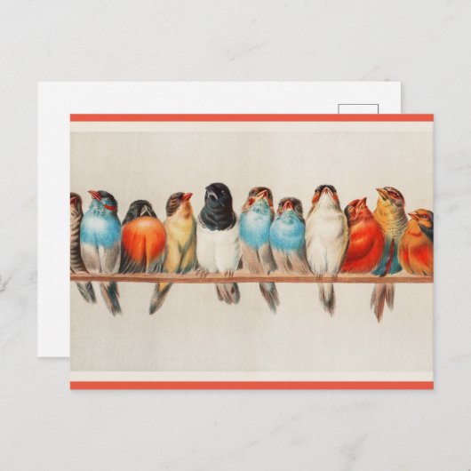 Een zit vogels briefkaart (Voorkant / Achterkant)