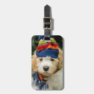 Een zoete Cavachon puppy in een Pet van de winter Bagagelabel