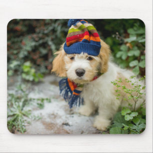 Een zoete Cavachon puppy in een Pet van de winter  Muismat