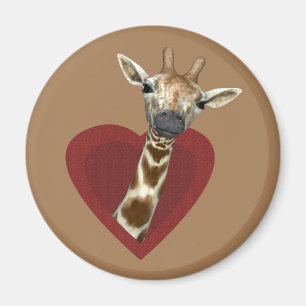 Een zoete hars voor Giraffes Magneet
