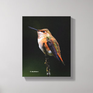 Een zoete roofvogel op de fruitboom canvas afdruk