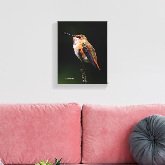 Een zoete roofvogel op de fruitboom canvas afdruk (Insitu (Woonkamer))
