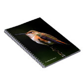 Een zoete roofvogel op de fruitboom notitieboek (Rechterzijde)