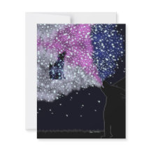 Een zomernacht met Sirius