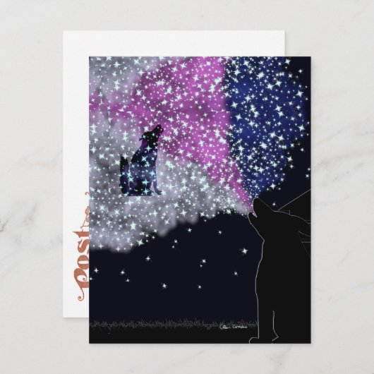 Een zomernacht met Sirius Feestdagenkaart (Voorkant / Achterkant)