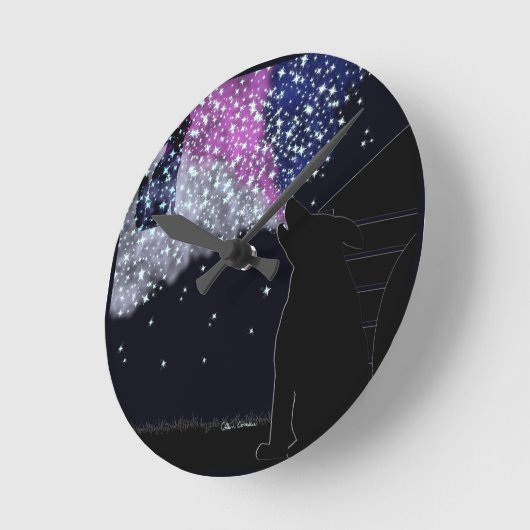 Een zomernacht met Sirius Ronde Klok (Hoek)