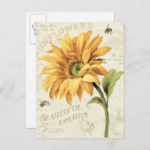 Een zonnebloem in volbloei briefkaart (Voorkant / Achterkant)