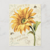Een zonnebloem in volbloei briefkaart (Voorkant)
