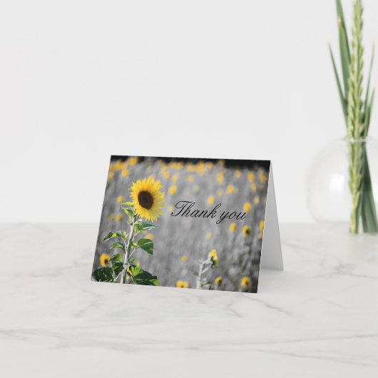 Een zonnebloempel in zwart-wit bedankkaart (Voorkant)