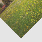 Een Zonnevaste Boerderij met een wit en geel bloem Tissuepapier (Detail)