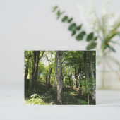 Een zonnige boswandeling. Woodland Glade Briefkaart (Staand voorkant)