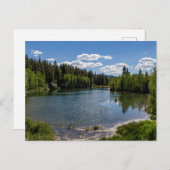 Een zonnige dag bij McClellan Lake Briefkaart (Voorkant / Achterkant)