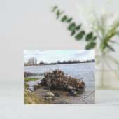Een zonnige dag op de rivier briefkaart (Staand voorkant)