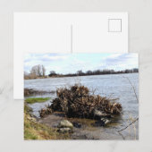 Een zonnige dag op de rivier briefkaart (Voorkant / Achterkant)