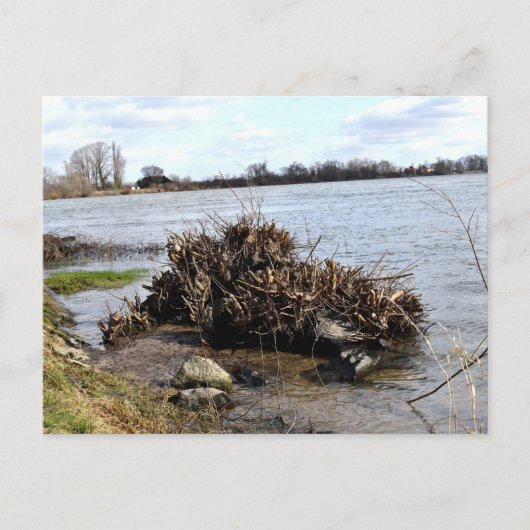 Een zonnige dag op de rivier briefkaart (Voorkant)