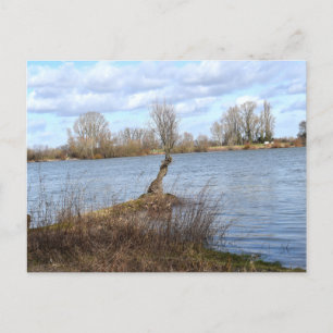 Een zonnige dag op de rivier briefkaart