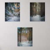 Een zonnige winterdag in het dennenbos muurkunst sets (Voorkant)