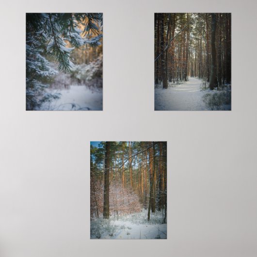 Een zonnige winterdag in het dennenbos muurkunst sets (Voorkant)