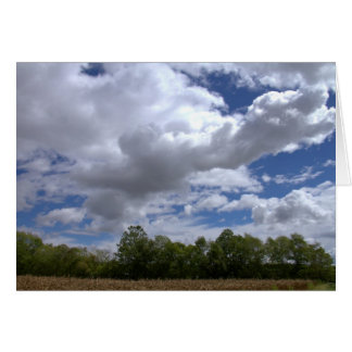 Een zonnige zaterdag in het land #21