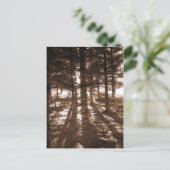 Een zonsondergang in het briefkaart. briefkaart (Staand voorkant)