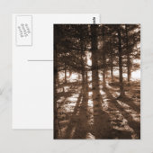 Een zonsondergang in het briefkaart. briefkaart (Voorkant / Achterkant)