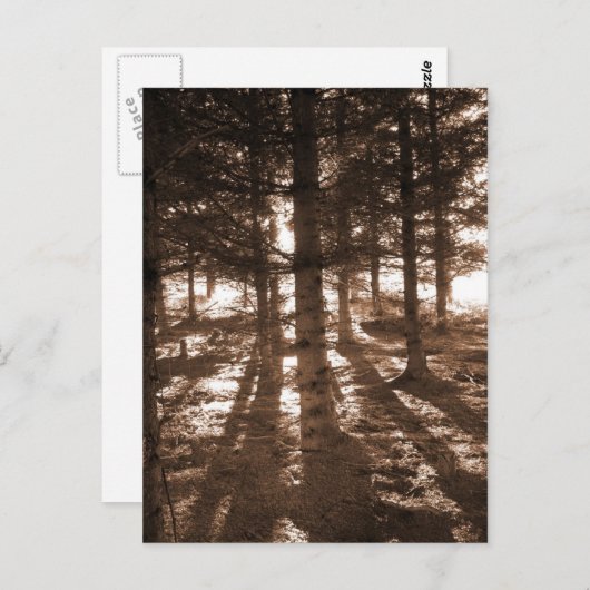 Een zonsondergang in het briefkaart. briefkaart (Voorkant / Achterkant)