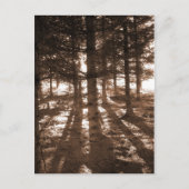 Een zonsondergang in het briefkaart. briefkaart (Voorkant)