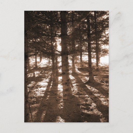 Een zonsondergang in het briefkaart. briefkaart (Voorkant)