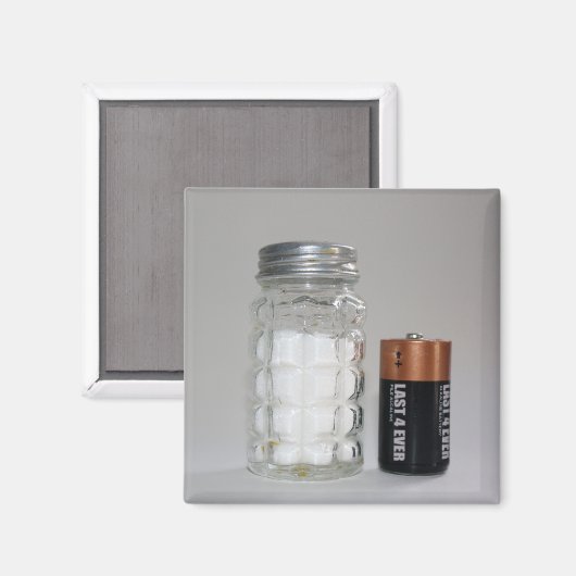 Een zout en batterij magneet (Voorkant / Achterkant)