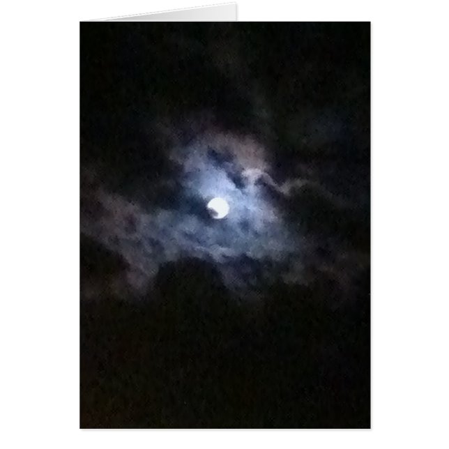 Een zwaan in de volle maan (Voorkant)