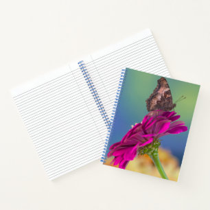 Een zwaluwstaartvlinder   Papilio Multicaudatus Notitieboek