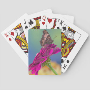Een zwaluwstaartvlinder   Papilio Multicaudatus Pokerkaarten