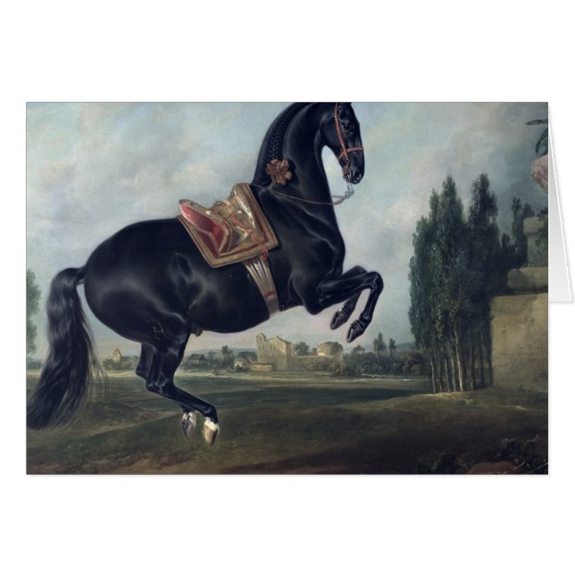 Een zwart paard dat de Courbette uitvoert (Voorkant Horizontaal)