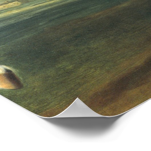 Een zwart paard dat de Courbette uitvoert Poster (Hoek)