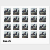 Een zwart paard dat de Courbette uitvoert Vierkante Sticker (Vel)
