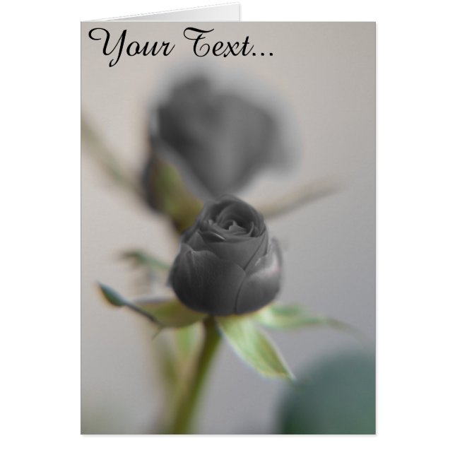 Een zwart roos (Voorkant)