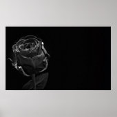 Eén zwart Roos Poster (Voorkant)
