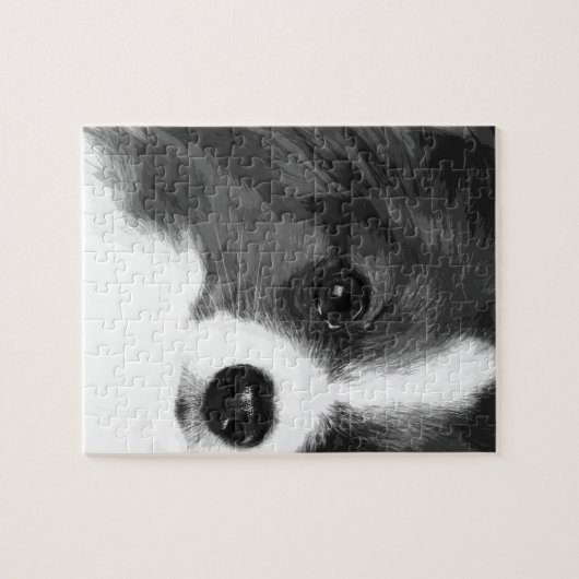 Een zwart-wit Papillon Legpuzzel (Horizontaal)