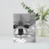 Een zwart-wit Pommeren Briefkaart (Staand voorkant)