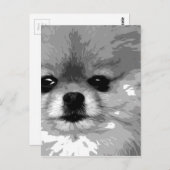 Een zwart-wit Pommeren Briefkaart (Voorkant / Achterkant)