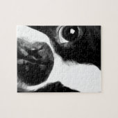 Een zwart-witte terriër van Boston Legpuzzel (Horizontaal)