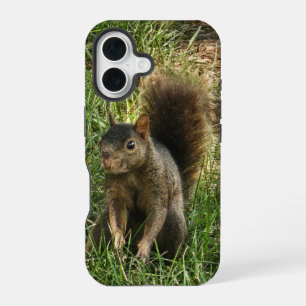 Een zwarte eekhoorn iPhone 16 hoesje