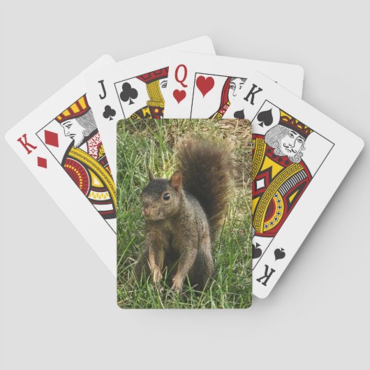 Een zwarte eekhoorn pokerkaarten (Achterkant)