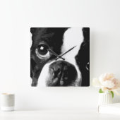 Een zwarte en blanke doodsbang van Boston Vierkante Klok (Huis)